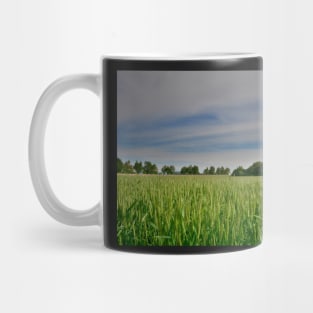 Spring Landscape Near Cividale del Friuli Mug